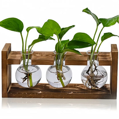 Plant Terrarium with Wooden Stand Air Planter Bulb Glass Vase Metal Swivel Holder Retro Tabletop for Hydroponics Home Garden Office Decoration - 3 Bulb Vase Plant Lover'S Choice