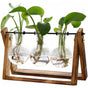 Plant Terrarium with Wooden Stand Air Planter Bulb Glass Vase Metal Swivel Holder Retro Tabletop for Hydroponics Home Garden Office Decoration - 3 Bulb Vase Plant Lover'S Choice